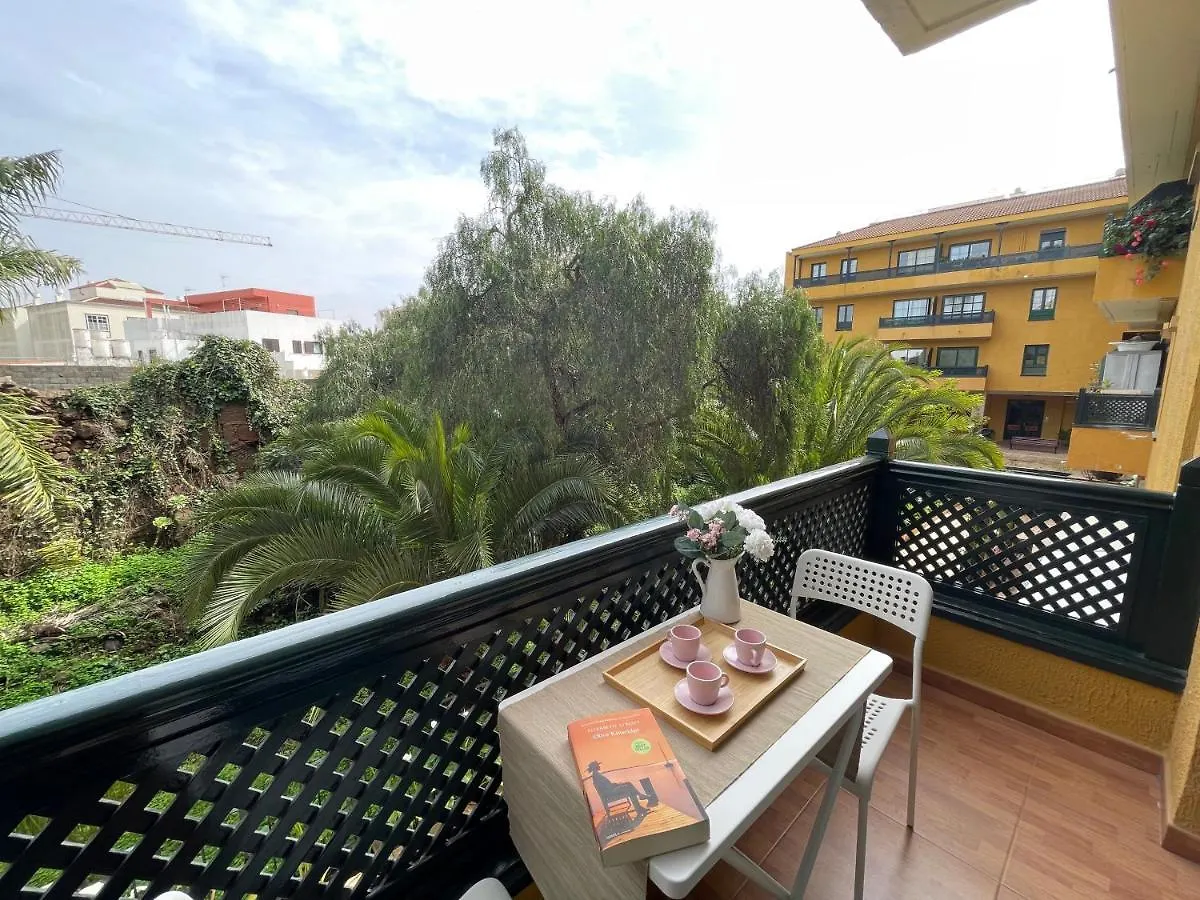 Beautiful 3 Bd. Apartment In La Laguna City Centre