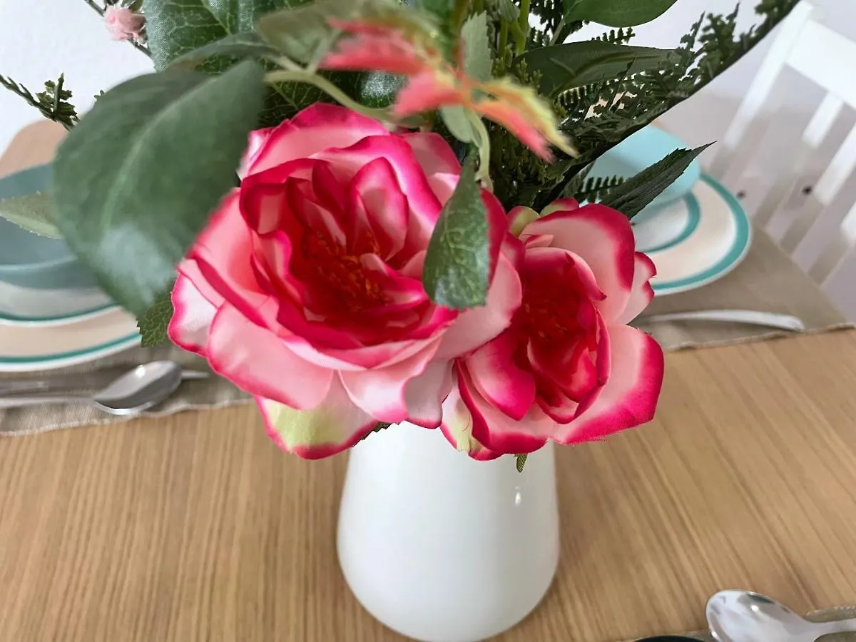 Beautiful 3 Bd. Apartment In La Laguna City Centre 0*, 라 라구나 스페인